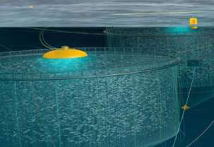 Deep Processing Product